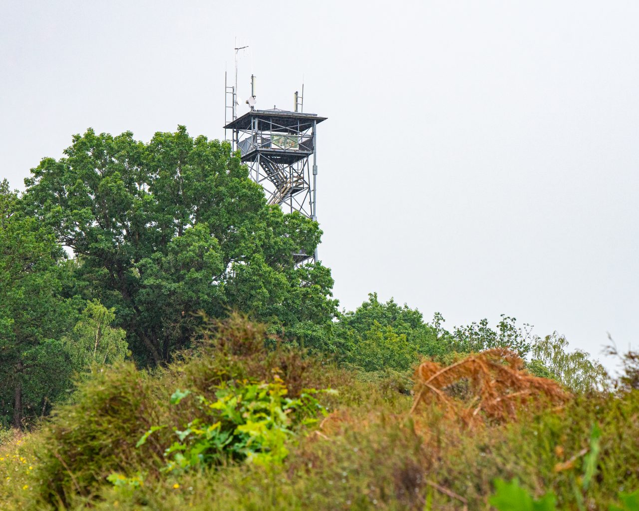 Uitkijktoren-Besthmenerberg-bij-Ommen