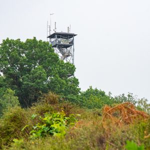 Uitkijktoren-Besthmenerberg-bij-Ommen