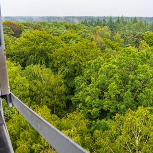 Uitzicht-vanaf-uitkijktoren-Besthmenerberg