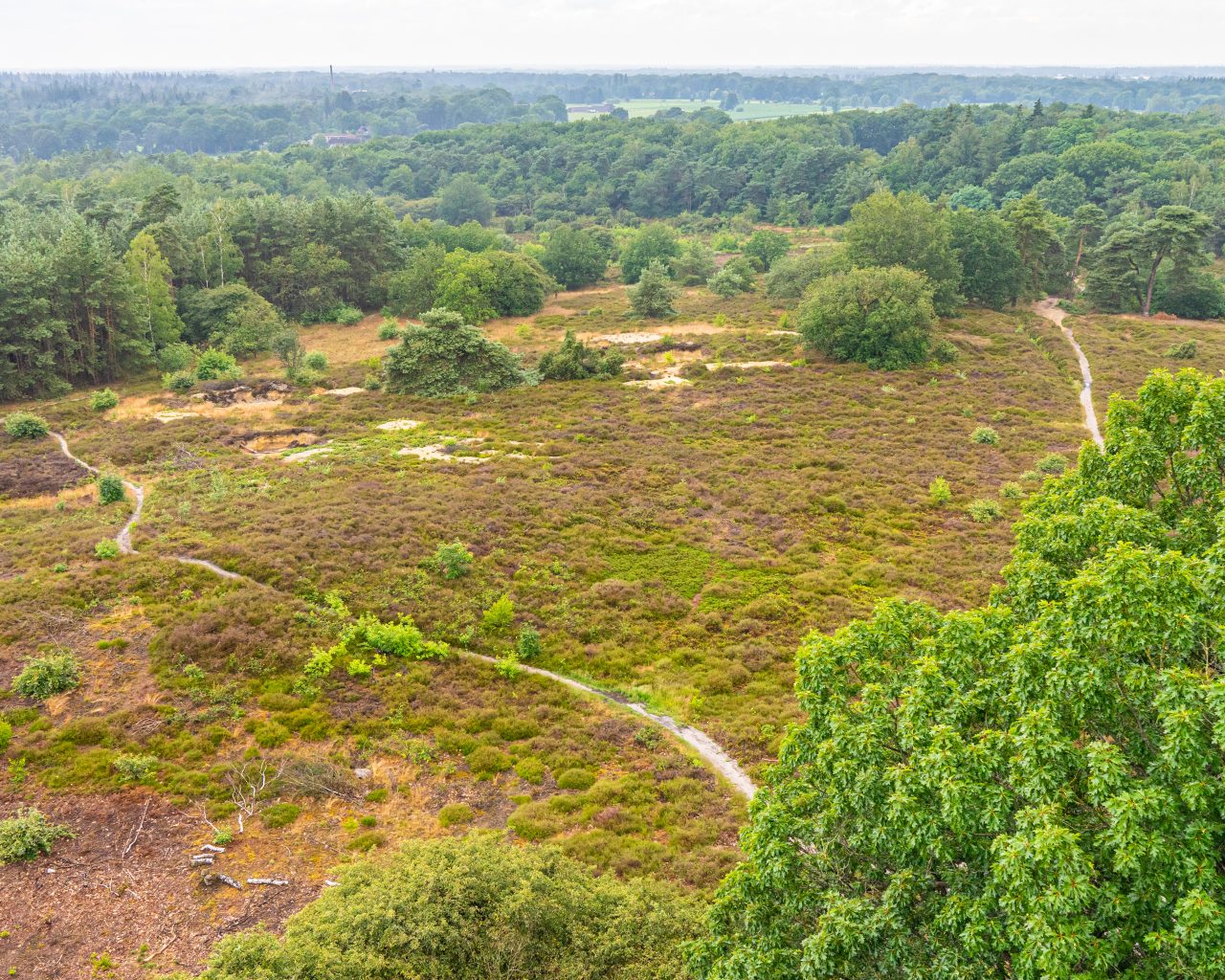 Uitzicht-over-heide-vanaf-uitkijktoren-Besthmenerberg-bij-Ommen