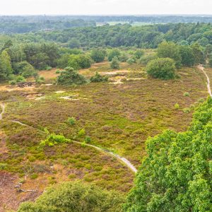 Uitzicht-over-heide-vanaf-uitkijktoren-Besthmenerberg-bij-Ommen