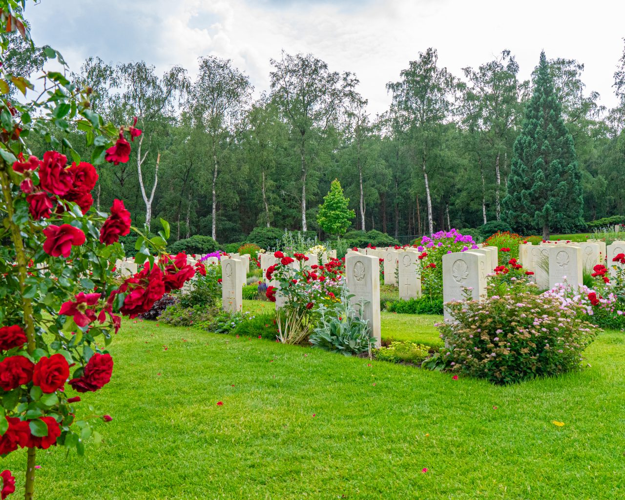 Grafstenen-canadese-begraafplaats-met-rode-rozen-op-voorgrond