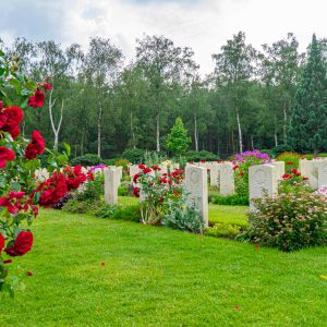 Grafstenen-canadese-begraafplaats-met-rode-rozen-op-voorgrond