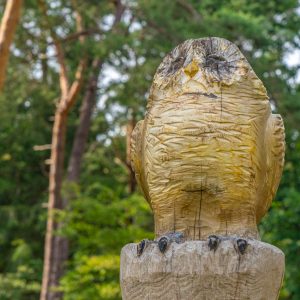Kunstwerk-uil-in-natuur-op-boomstam-Holten