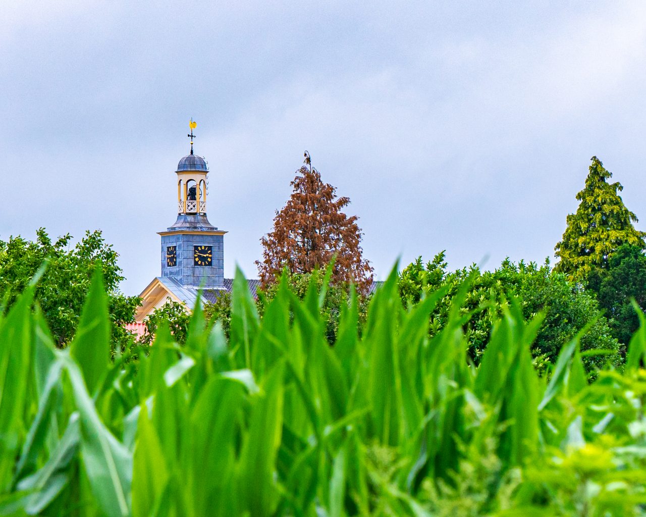 Uitzicht-op-kerktoren-Laren-vanaf-akker