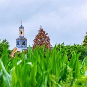 Uitzicht-op-kerktoren-Laren-vanaf-akker