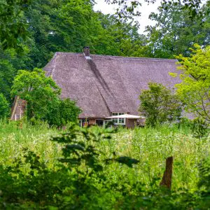 Boerderijen-in-Landgoed-Velhorst