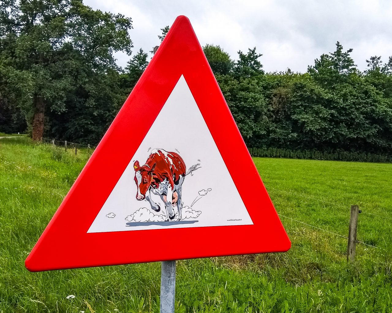 Verkeersbord-met-sticker-koe