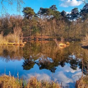 vennen-tijdens-14-vennenwandeling-oisterwijk-brabant
