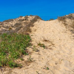 Duinen-wandelen-Fisherman's-Trail