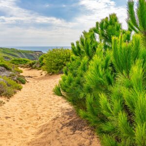 Zandweg-fisherman's-trail-vila-nova-de-milfontes-naar-almograve