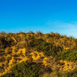 duinen-fisherman's-trail-in-portugal-tijdens-zonsopkomst