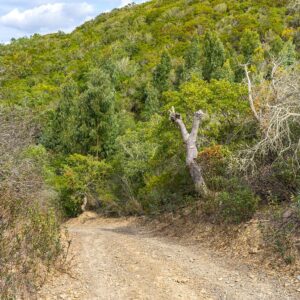 historical-trail-naar-carrapateira