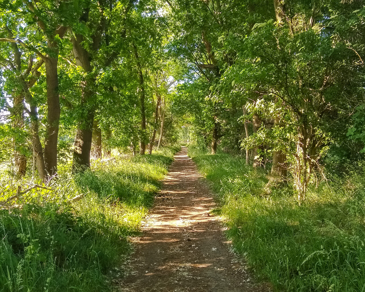 wandeltochten-brabant-huis-ter-heide