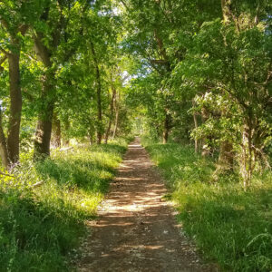 wandeltochten-brabant-huis-ter-heide