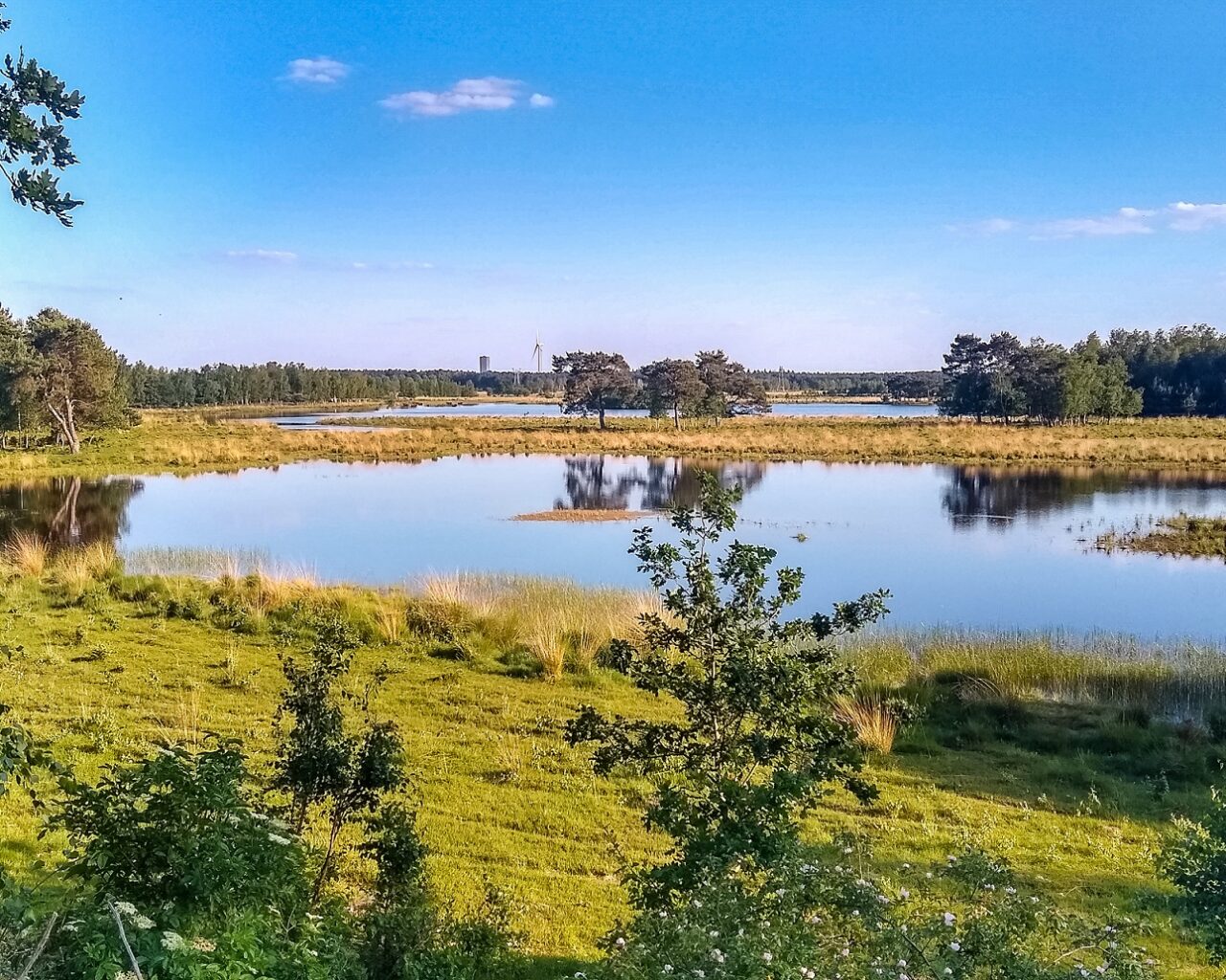 Vennen-tijdens-wandeltocht-Brabant-huis-ter-heide