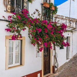 schattig-straatje-Silves