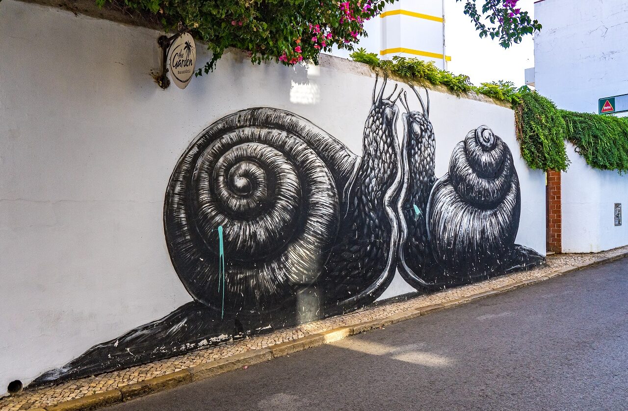 street-art-ROA-Lagos-in-Portugal