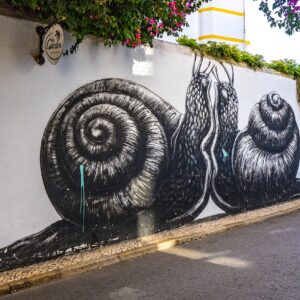street-art-ROA-Lagos-in-Portugal