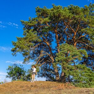 jessica-met-gigantische-boom-loonse-en-drunense-duinen