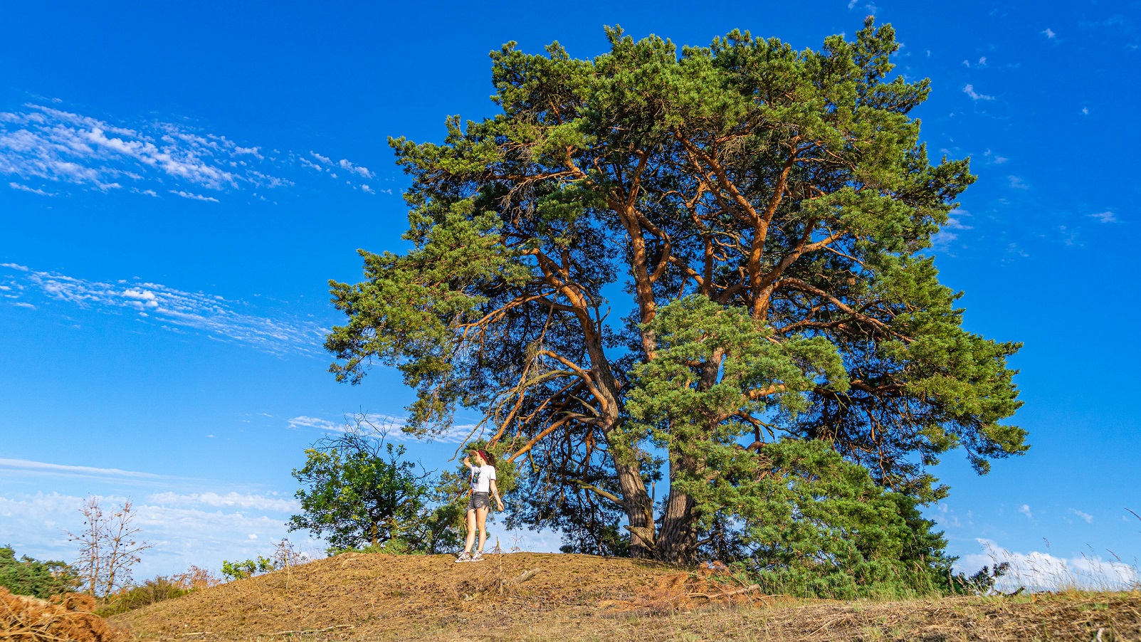 jessica-met-gigantische-boom-loonse-en-drunense-duinen
