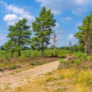wandeltocht-kanonsbergroute-brabant