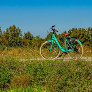 Altec-fiets-Nederland