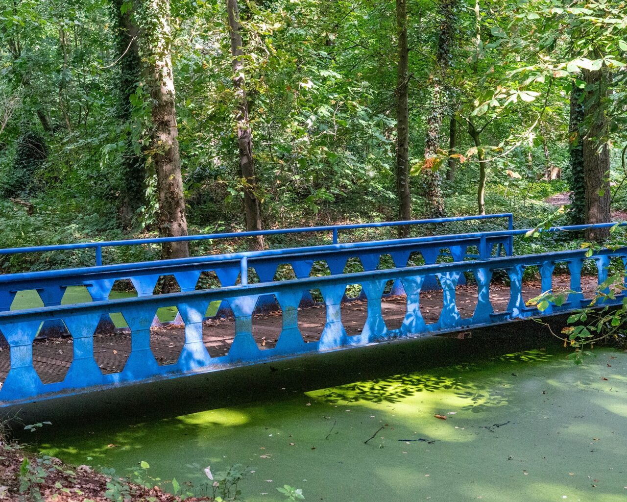 Blauwe-brug-in-poort-van-heusden