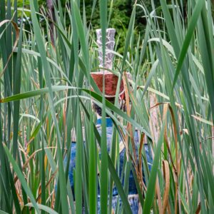 Soldaat-verstopt-in-het-water-riet-poort-van-heusden