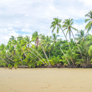 Surfstrand-Uvita-Costa-Rica-met-palmbomen