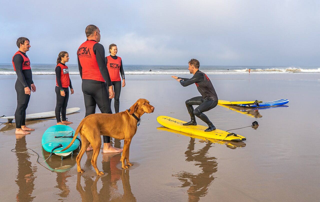 surflessen-the-magnet-projects-surfen-lissabon