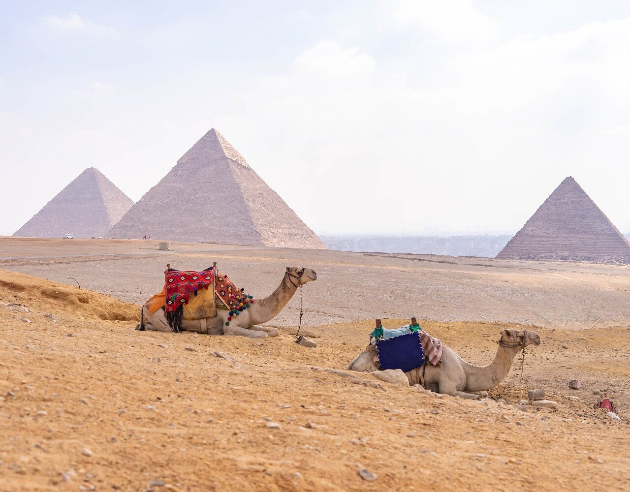 kamelen-en-piramides-reisinspiratie