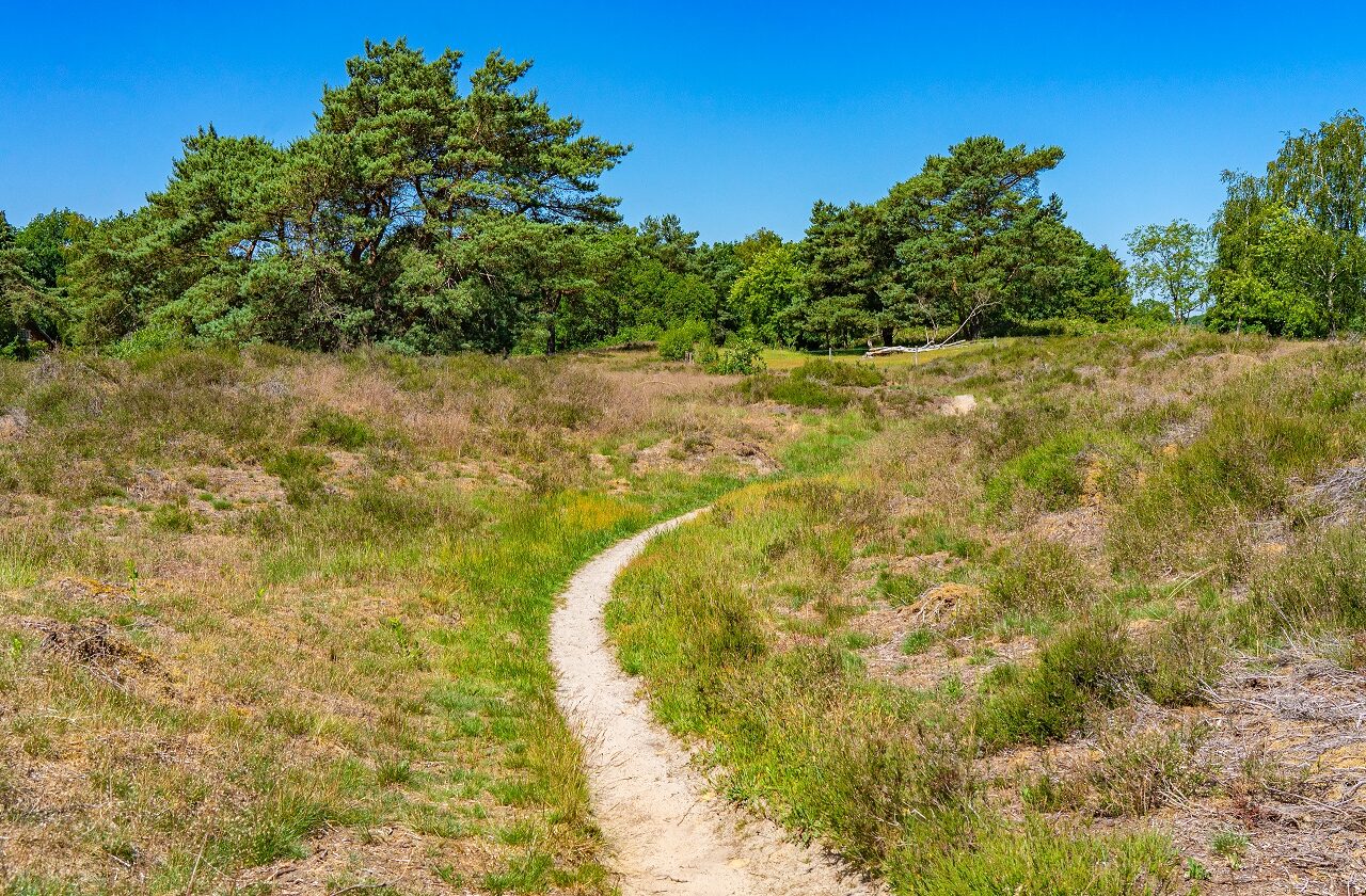 Gasterse-Duinen-Drenthe-wandelen