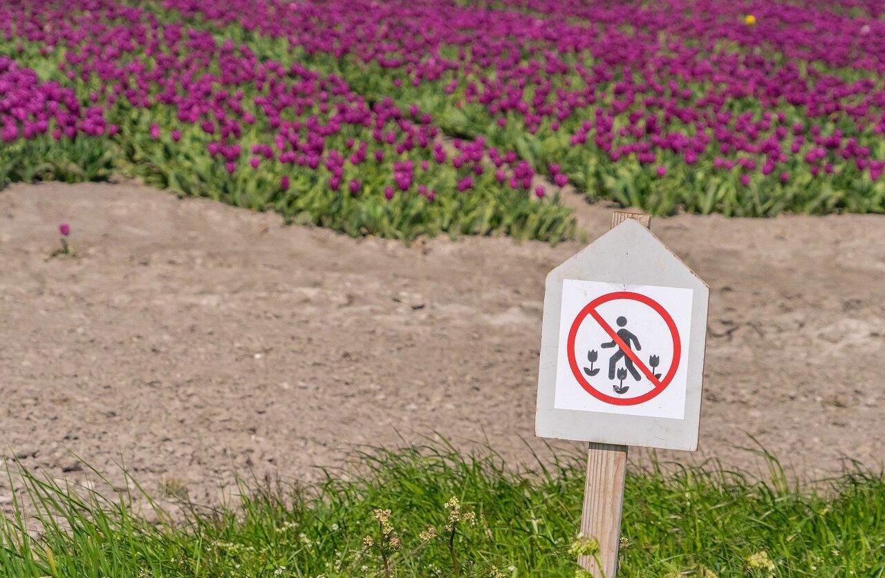 bordje-niet-door-bollenvelden-lopen