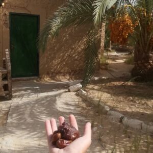 dadels-in-siwa