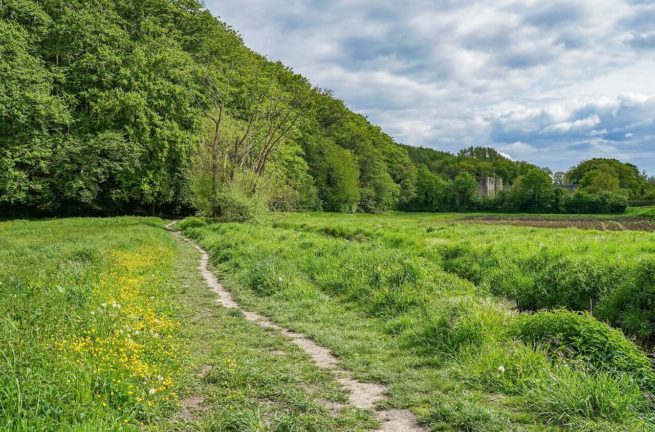 Onverhard-weggetje-Dutch-Mountain-Trail