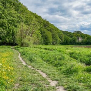 Onverhard-weggetje-Dutch-Mountain-Trail