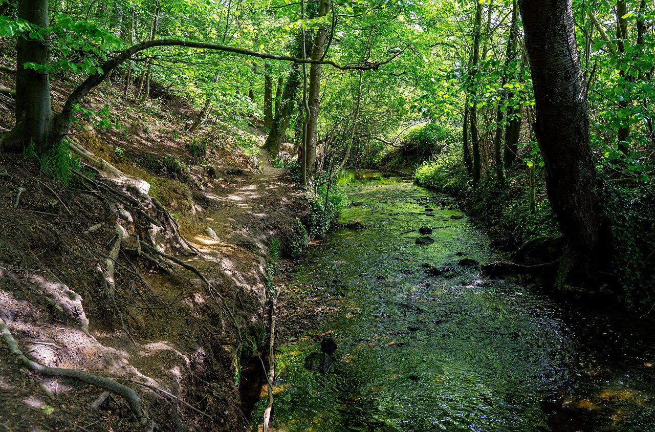 Wandelroute-langs-beekje-Zuid-Limburg