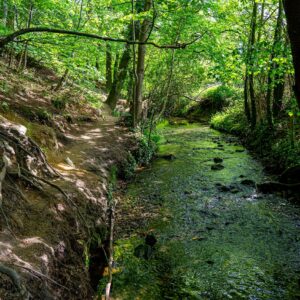 Wandelroute-langs-beekje-Zuid-Limburg