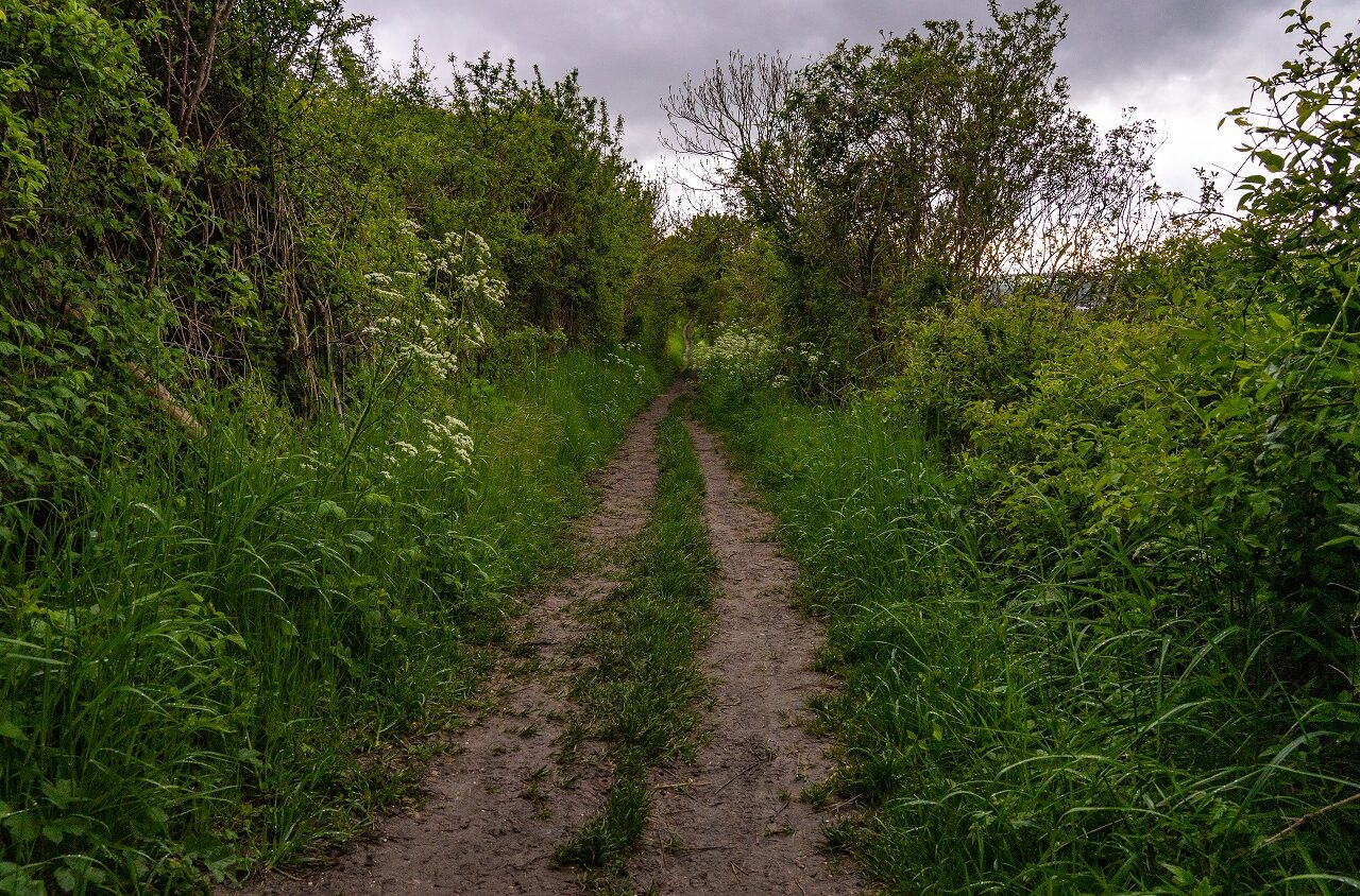 Wandelen-op-de-Schneeberg