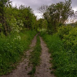 Wandelen-op-de-Schneeberg