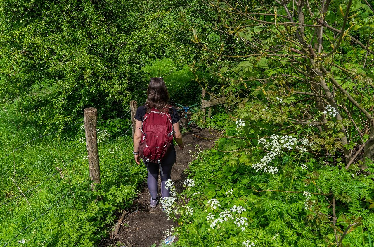 Wandelaar-Dutch-mountain-Trail