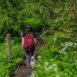 Wandelaar-Dutch-mountain-Trail
