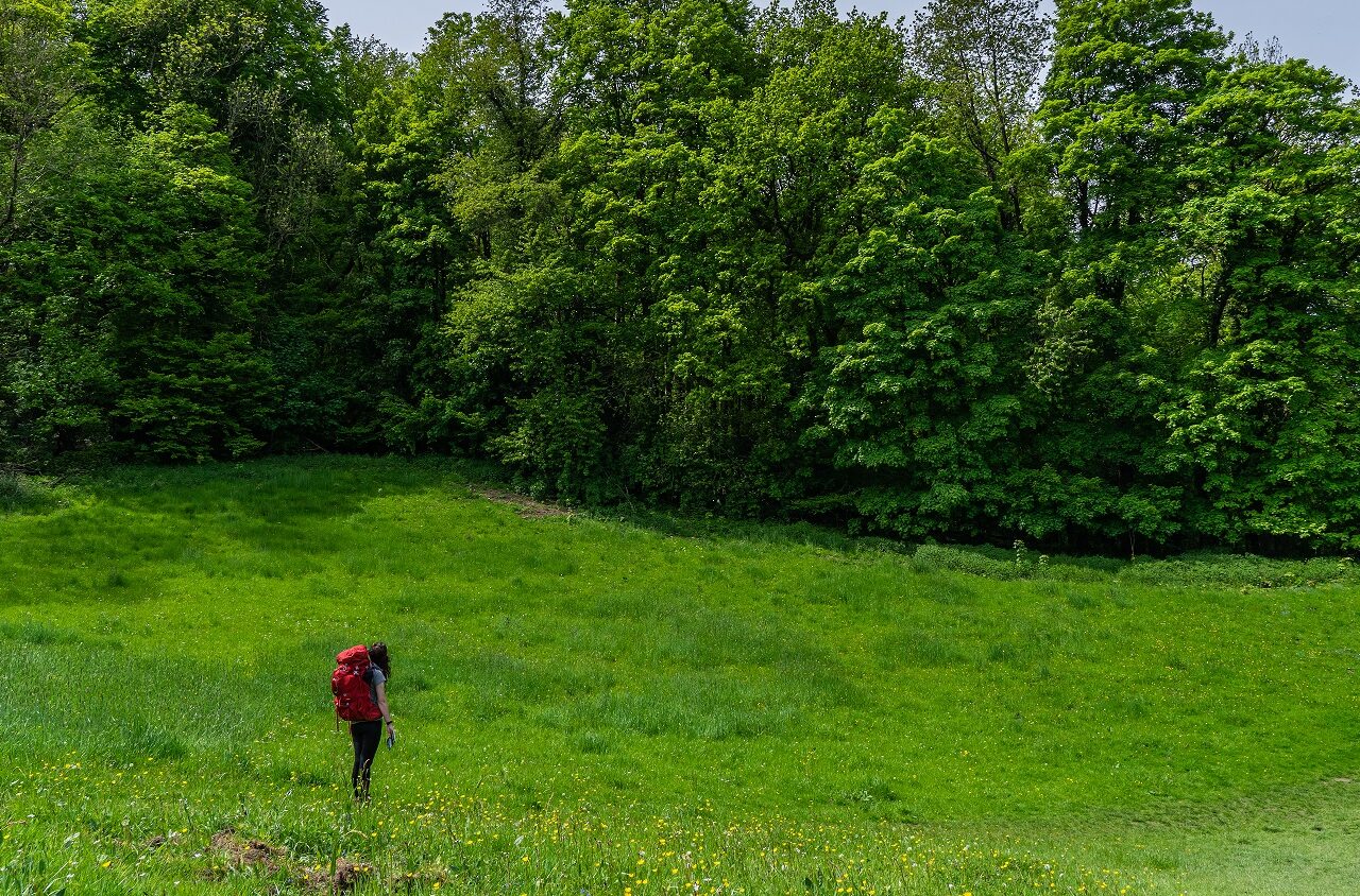 Jessica-in-weide-Dutch-Mountain-Trail