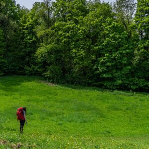 Jessica-in-weide-Dutch-Mountain-Trail