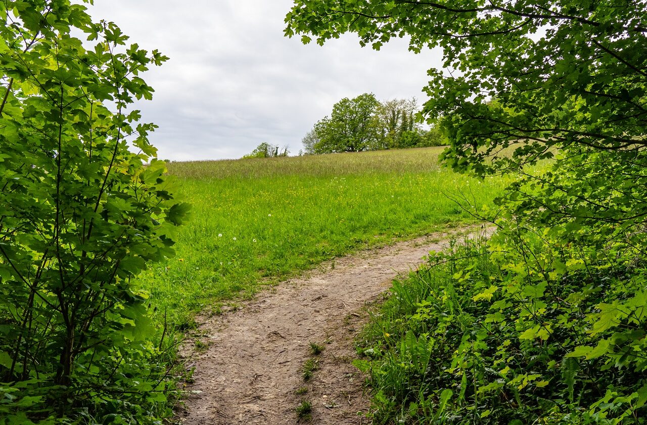 Naar-de-Eyserberg-top