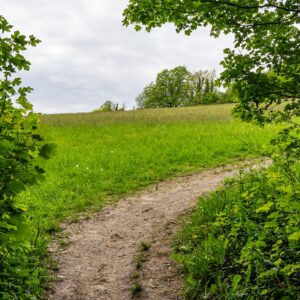 Naar-de-Eyserberg-top