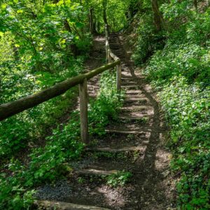 Trap-omhoog-Gulperberg