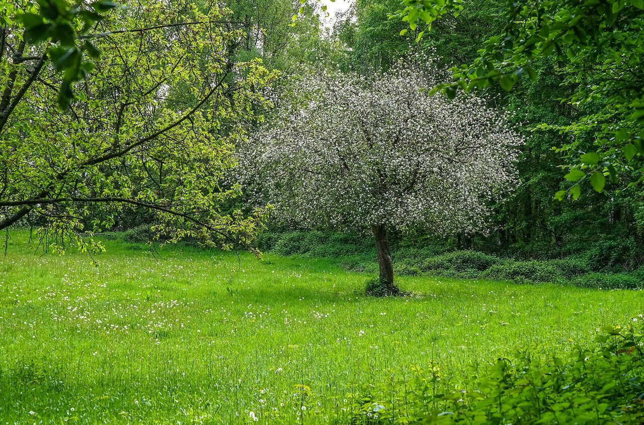 Lente-in-Zuid-Limburg