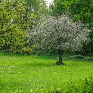 Lente-in-Zuid-Limburg